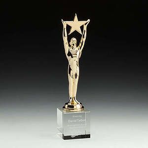 Star Achievement Award on Optical