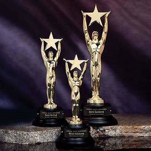 Gold Star Achievement Award