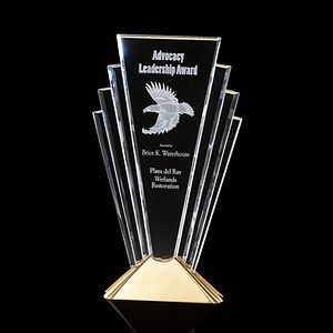Valiant Award - Gold