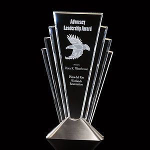 Valiant Award - Silver