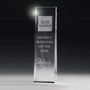 McKinley Tower Award