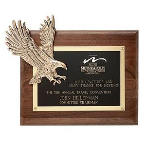 Soaring Eagle 