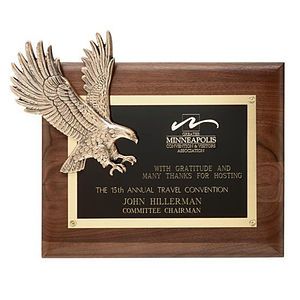 Soaring Eagle 