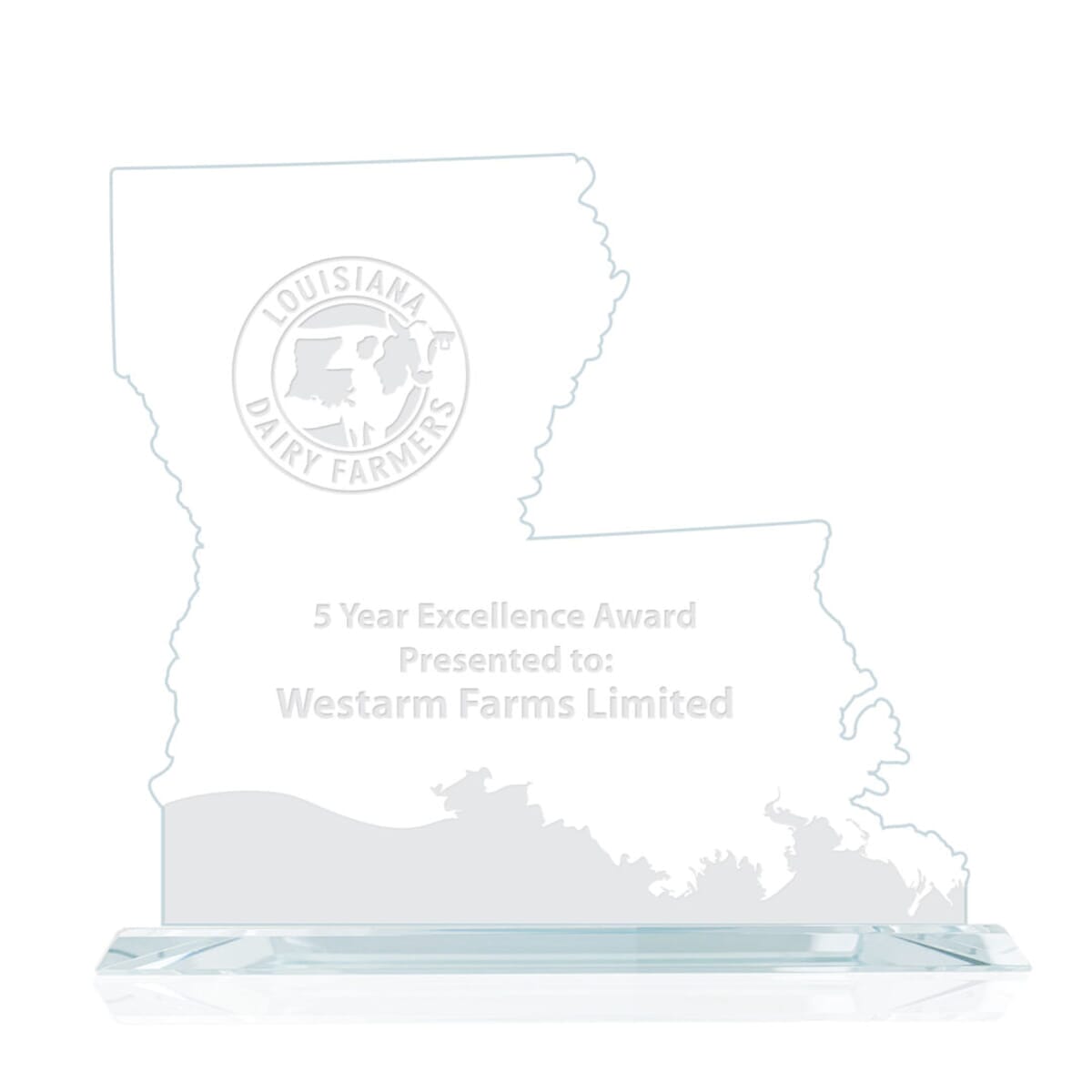 State Map Award -  Louisiana