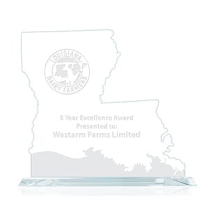 State Map Award -  Louisiana