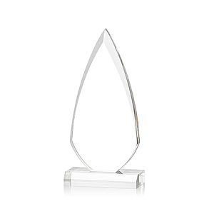 Vanderbilt Award