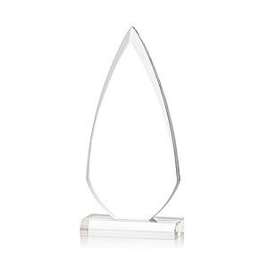 Vanderbilt Award