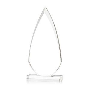 Vanderbilt Award