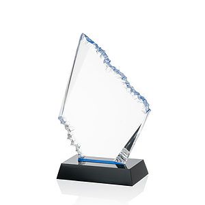Reddington VividPrint™ Award