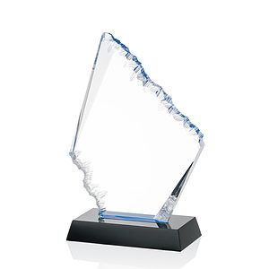 Reddington VividPrint™ Award