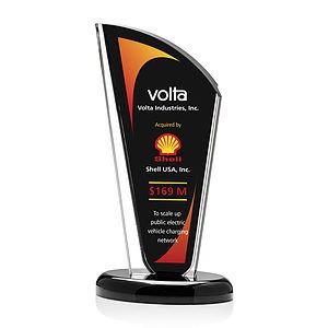 Bridgewood VividPrint™ Award - Black