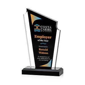 Dunstable VividPrint™ Award - Black