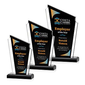 Dunstable VividPrint™ Award - Black