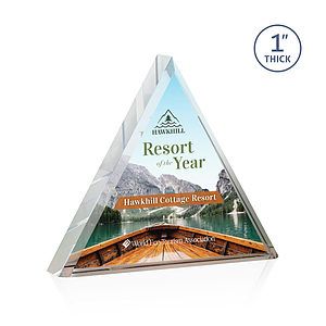 Brighton VividPrint™ Award