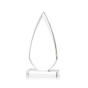 Vanderbilt VividPrint™ Award