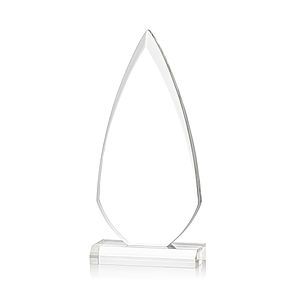 Vanderbilt VividPrint™ Award