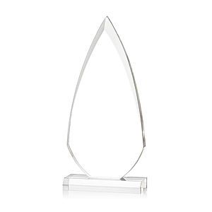 Vanderbilt VividPrint™ Award