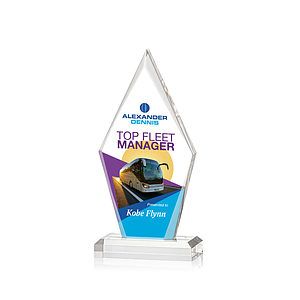 Palmer VividPrint™ Award