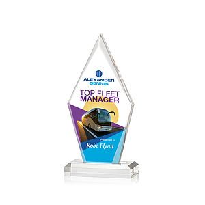 Palmer VividPrint™ Award