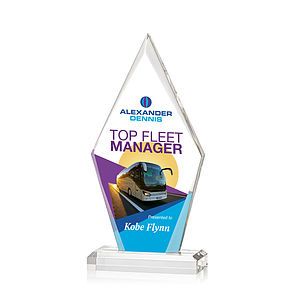 Palmer VividPrint™ Award