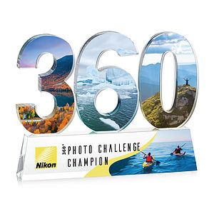 Milestone VividPrint™ Award