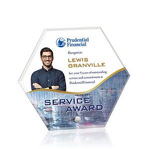 Polaris Hexagon VividPrint™ Award - Silver
