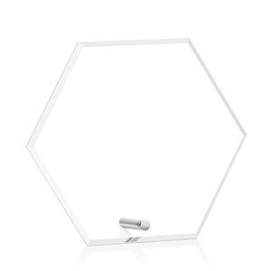 Polaris Hexagon VividPrint™ Award - Silver