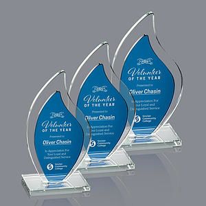 Flamingo Award - Blue