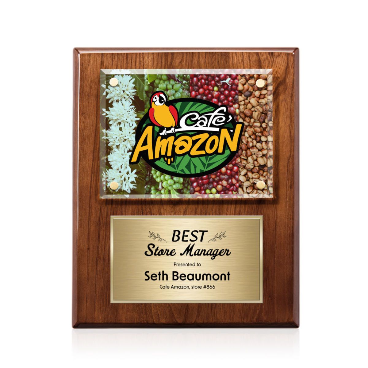 Gossamer VividPrint™ Plaque - Walnut/Gold