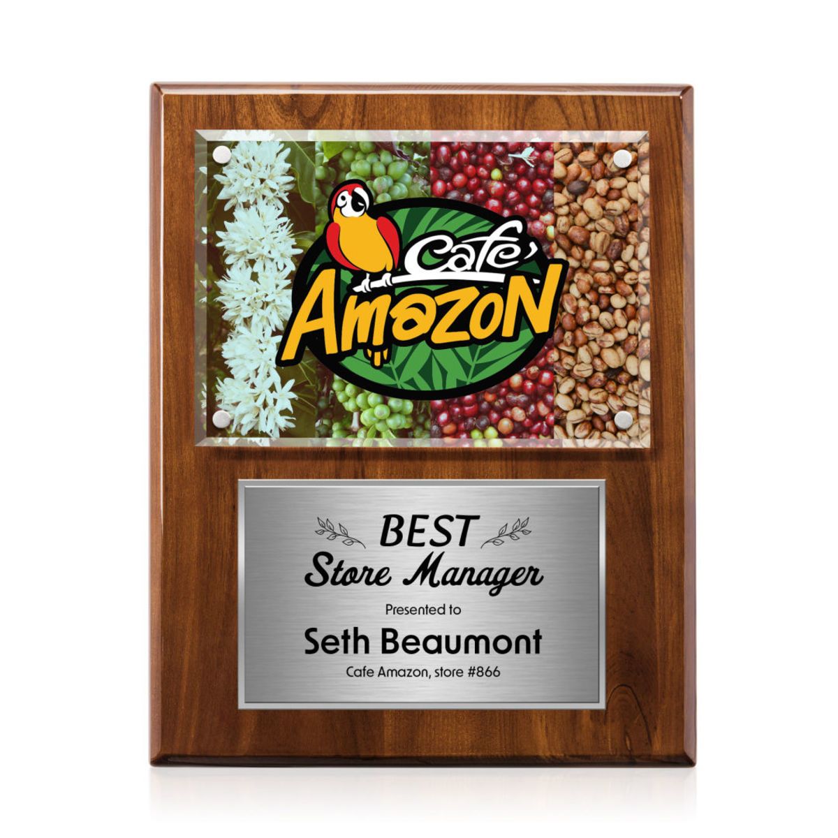 Gossamer VividPrint™ Plaque - Walnut/Silver