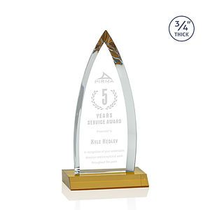 Shildon Award - Amber