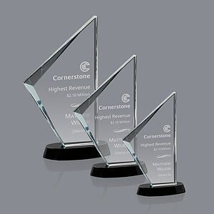 Nevada Award