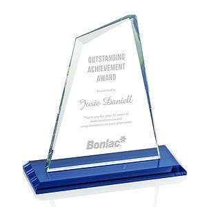 Summit Award - Blue 