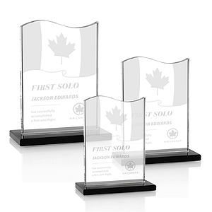 Unity Award - Black