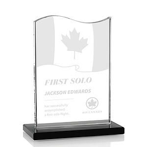 Unity Award - Black