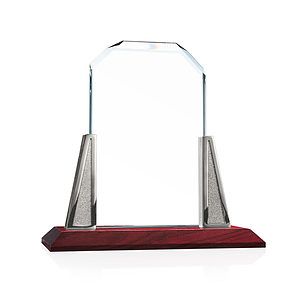 Renata Award - Starfire