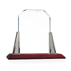 Renata Award - Starfire