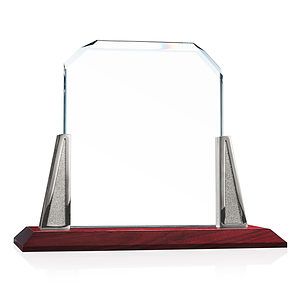 Renata Award - Starfire