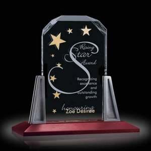 Renata Award - Starfire