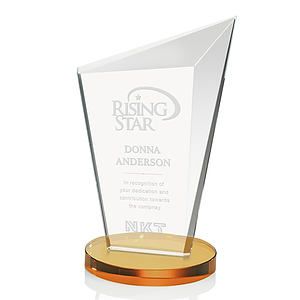 Wiltshire Award - Amber