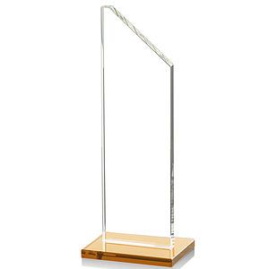 Dixon Award - Amber