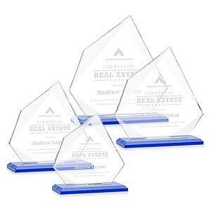 Lexus Award - Blue