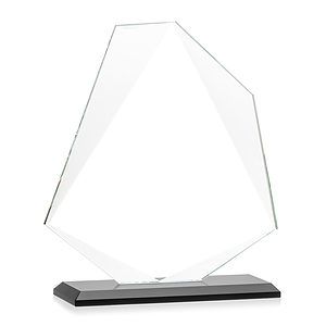 Picton Award - Black