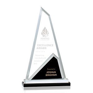 Shaftsbury Award 