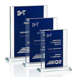 Tameside Award - Blue