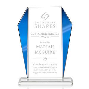Newbury Award - Blue