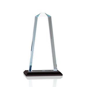 Pinnacle Award - Black