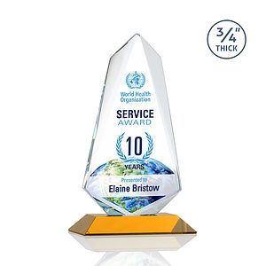 Sheridan VividPrint™ Award - Amber