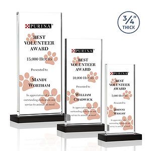 Arizona VividPrint™ Award - Black