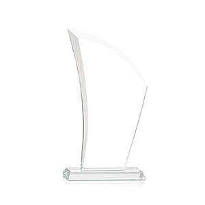 Agassi VividPrint™ Award